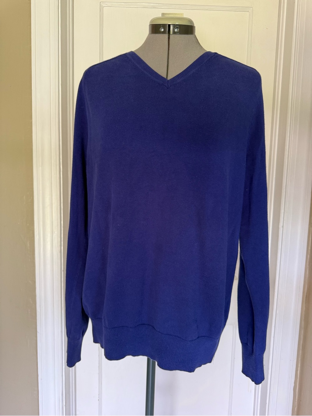 GAP Men's V-Neck Sweater - Lapis Blue